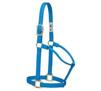 Weaver Leather, Cavezza Regolabile in Nylon, per Cavalli Yearling, Blu (Hurricane Blue)