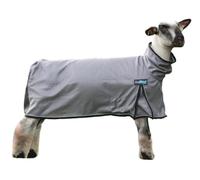 Weaver Leather Coperta unisex per adulti, con pecore bohémien, grigio, taglia M
