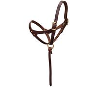 Weaver Leather Figura 8 Cavezza Puledro, 5/8" Suckling, Oil Canyon Rose