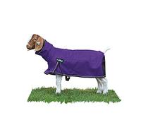 Weaver Leather Livestock ProCool - Coperta in Rete per Capra, con tubazioni Riflettenti, Colore: Viola