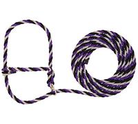 Weaver Leather Livestock Stierwalt Breaking Halter, Viola/Nero/Grigio