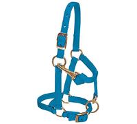 Weaver Leather Nylon Miniature Horse Adjustable Halter, n/a, Hurricane Blue