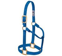 Weaver Leather Original - Cavezza non regolabile, per cavallo tra 1 e 2 anni, M, blu