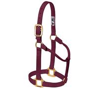 Weaver Leather Original - Cavezza non regolabile, per cavallo tra 1 e 2 anni, M, bordeaux