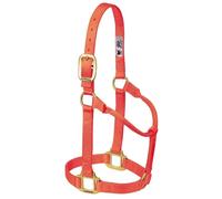Weaver Leather Original - Cavezza per cavallo in nylon, non regolabile, M, arancione