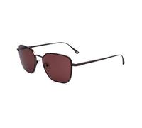 WEB Occhiali da Sole WE0355 49S MATTE DARK BROWN 53/17/145 Uomo