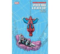 WEB OF HEROES COLLECTION SPIDER-MAN & BLACK CAT PANINI