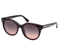 Web We0326 Occhiali Da Sole Unisex Avana Rotondo Grigio 54mm