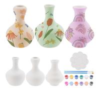 WEBEEDY 3 Set di Pittura di Ceramica per Vaso Ceramica per Principianti Adulti Dipingi I Tuoi Vasi in Porcellana per la Decorazione Interna Regalo di Compleanno