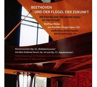 Weber,Mathias - Beethoven und der Flügel der Zukunft