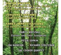Webern/Brahms - Marty Krystall-Peter Serkin