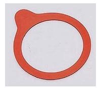 Weck einkoch della gomma anelli 54 X 67 mm, pezzi a sacchetto colore: rosso 10 pezzi