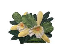 Wedare 3D Isole Cayman Fiore Frigorifero Magnet Souvenir Tourist Resina Magnetico Adesivi Frigorifero casa e Cucina Decorazione dalla Cina