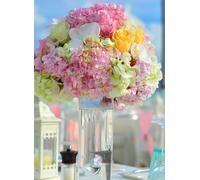 Wedding Planner Book | Simple & Organized Wedding Planning Checklist, Budget Tracker, and Timeline for Brides