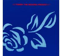 Wedding Present - Tommy