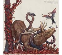 Weddings Book Of Spells (Vinyl LP)