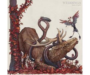 Weddings Book Of Spells (Vinyl LP)