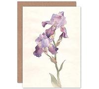 Wee Blue Coo Flower Violet Iris Watercolour Greeting Card With Envelope Inside Premium Quality Fiore Acquerello