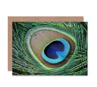 Wee Blue Coo Greetings Card Birthday Gift Peacock FETHER Plumage