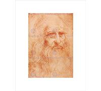Wee Blue Coo Leonardo Da Vinci Drawings Old Master Framed Wall Art Print Disegno Vecchio maestro Parete