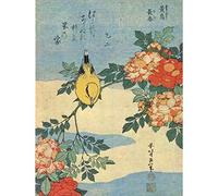Wee Blue Coo PAINTING JAPANESE BIRD FLOWERS FLORAL 30X40 CMS FINE ART PRINT ART POSTER Dipingere Giappone Uccello Fiore Stampa artistica Manifesto