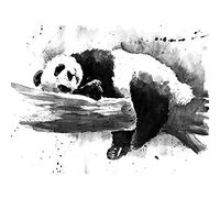 Wee Blue Coo Panda Sleeping Watercolour Art Print Canvas Premium Wall Decor Poster Acquerello Parete Manifesto