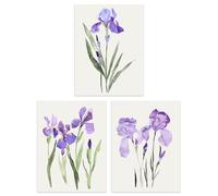 Wee Blue Coo Set of 3 Prints Watercolour Iris Floral Flowers Purple Bedroom Poster Wall Art 12X16