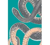Wee Blue Coo Snake Illustration Modern Biodiversity Unframed Art Print Poster Wall Decor 12x16 inch Illustrazione Manifesto Parete