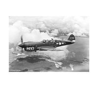 Wee Blue Coo War Military Plane Vintage Fighter Jet Black White P-40 Wall Art Print Guerra Militare Aereo Vintage ▾ Combattente Parete