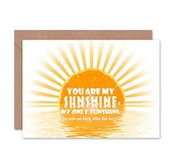 Wee Blue Coo YOU ARE MY SUNSHINE ORANGE SUN LOVE VALENTINES DAY BLANK BIRTHDAY CARD