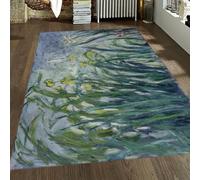 WEECHAINGE lavabile in lavatrice da giardino Iris verde e blu tappeto 200x300cm per soggiorno camera letto cucina corridoio ufficio supporto sottile antiscivolo non spargimento Claude Monet Floral