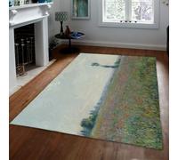 WEECHAINGE Verde Grigio Poppy Meadow Landscape Soggiorno Grande tappeto 120x150cm Soft Low Pile Anti Slip Monet Field Print Area Kid Pet Friendly per Camera da Letto Sala Pranzo Cucina