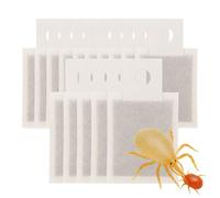 Weedness Acari predatori Amblyseius andersoni 15 sacchetti contro tripidi e acari - Controllo biologico dei parassiti senza sostanze chimiche ed ecologiche