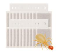 Weedness Acari predatori Amblyseius andersoni 25 sacchetti contro tripidi e acari - Controllo biologico dei parassiti senza sostanze chimiche ed ecologiche