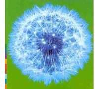 Week Or Two in the Real W