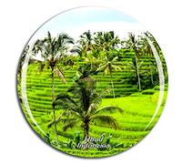Weekino Indonesia Tegalalang Rice Terrace Ubud Bali Calamità da frigo 3D Cristallo Bicchiere Tourist City Viaggio Souvenir Collezione Regalo Forte Frigorifero Sticker