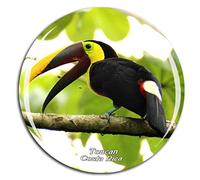 Weekino Tucano Costa Rica Calamità da frigo 3D Cristallo Bicchiere Tourist City Viaggio Souvenir Collezione Regalo Forte Frigorifero Sticker