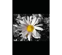 Weekly Planner: (6*9 in), 52 Pages, Gift for vacations, Gift for Girls/Boys, Effective planning tool, Plan your week in advance, Easy planning, Time management