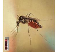 Weeks - Dear Bo Jackson