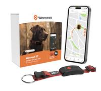 Weenect Dog XT - Collare GPS per Cani | Abbonamento necessario | Una posizione al secondo • Antenna XL • 3 settimane di autonomia • Avviso antifuga < 1 min • Waterproof • Collare JK9