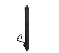 WEFOLCC Elettrico Portellone Ammortizzatore A Gas per Portellone Posteriore Elettrico Sinistro E Destro per B&MW X3 F25 18i 20i 28i 35i 51247232003 51247232004 (Sinistra)