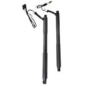 WEFOLCC Elettrico Portellone Supporto di Sollevamento per Portellone Posteriore Elettrico 51247332695, Ammortizzatori A Gas Elettrici per B&MW X5 E70 2006-2013 (Right And Left)