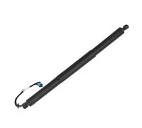 WEFOLCC Elettrico Portellone Supporto di Sollevamento per Portellone Posteriore Elettrico per B&MW X2 F39 2017 2018 2019 2020 2021 Ammortizzatori A Gas 51249465654 (Sinistra)