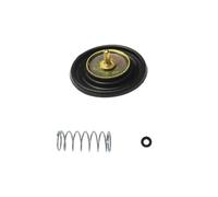 WEFOLCC Kit Riparazione Carburatore CVK30 30MM per Suzuki 250 AN250 per Burgman per Linhai Aeolus VOG 260 300 Tank 260 Accessori Moto(E)