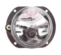 WEFOLEN Lampada Fendinebbia per Mercedes per Benz W204 W251 W164 C300 ML320 CL550 2048202256 Fendinebbia Lato Destro Luci di Guida