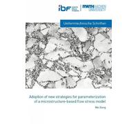 Wei Xiong Adaption of new strategies for parameterization of a micro (Tascabile)