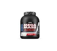 Weider Gainer Giant Mega Mass 4000 3000 g Fragola