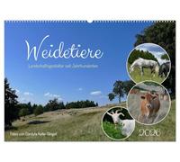 Weidetiere - Landschaftsgestalter seit Jahrhunderten (Wandkalender 2026 DIN A2 quer), CALVENDO Monatskalender: Verschiedene Weidetierarten auf ... Bedeutung dieser Art der Flächennutzung
