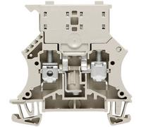 Weidmüller 1011000000-1 Morsetto componibile portafusibili A vite Beige scuro