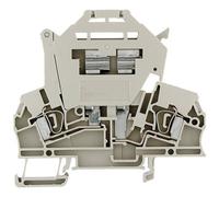 Weidmüller 1616400000-1 Morsetto componibile portafusibili A molla Beige scuro